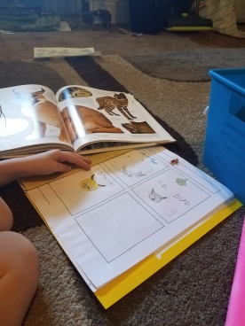 kids love notebooking