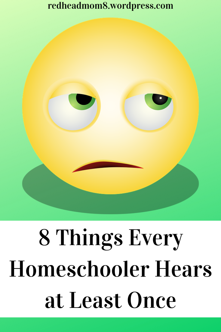 8 Things Every Homeschooler Hears at Least Once