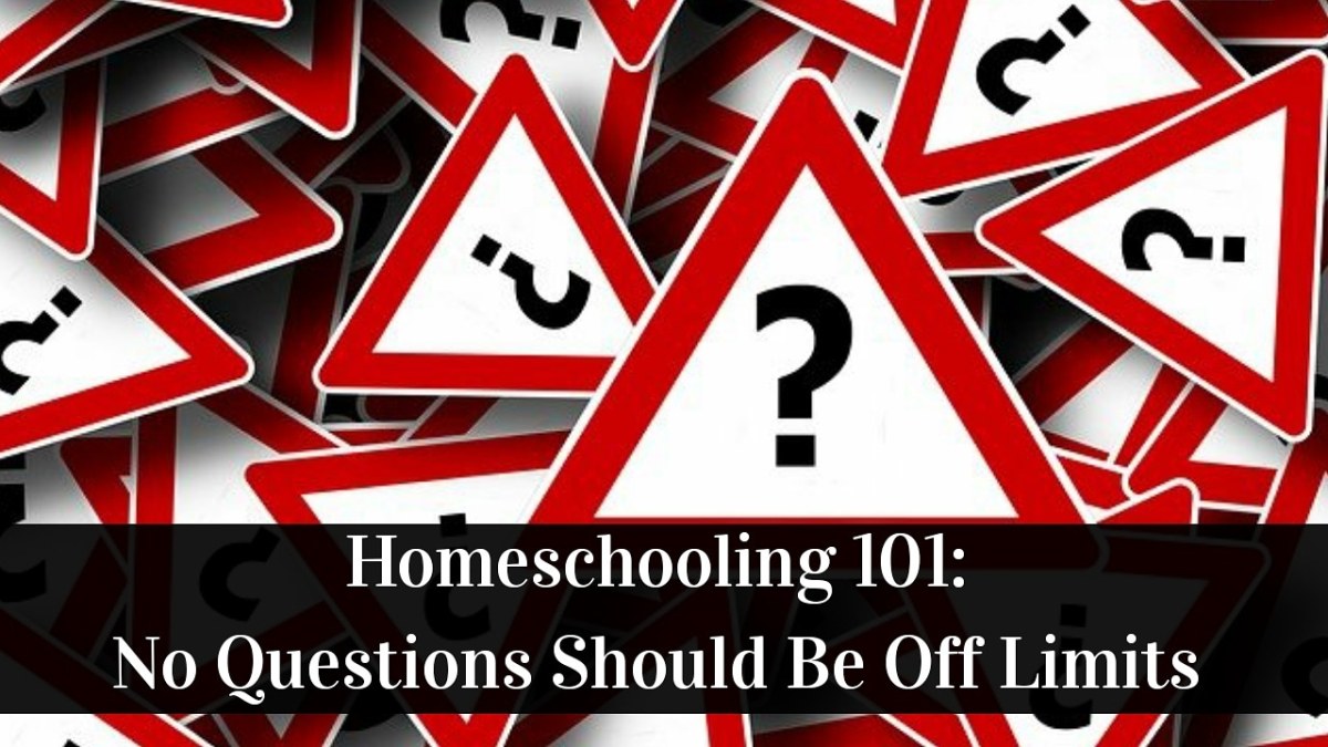 Homeschooling 101: No Questions Should Be Off Limits